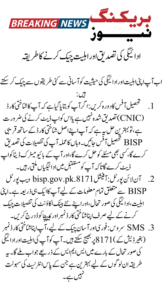 BISP 8171 Payment Verification Process: Step by Step Guide