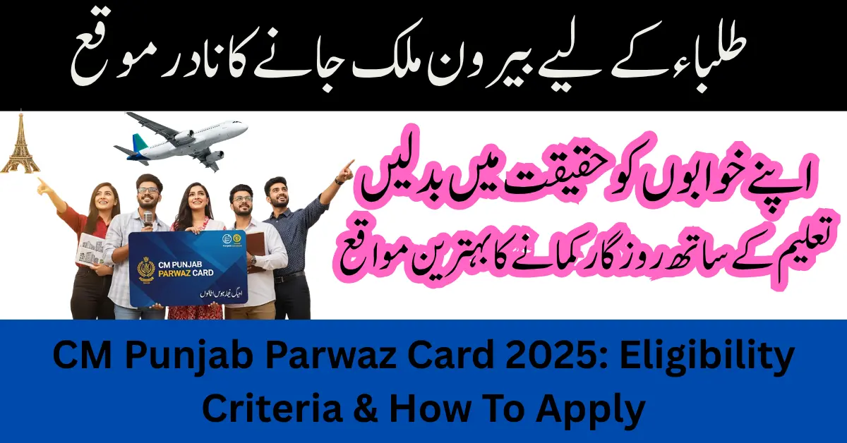 CM Punjab Green E-taxi Scheme Eligibility