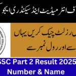 FBISE HSSC Part 2 Result 2025 by Roll Number & Name FBISE HSSC Part 2 Result 2025 by Roll Number & Name
