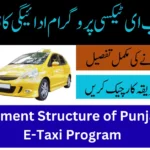 Payment Structure of Punjab E-Taxi Program