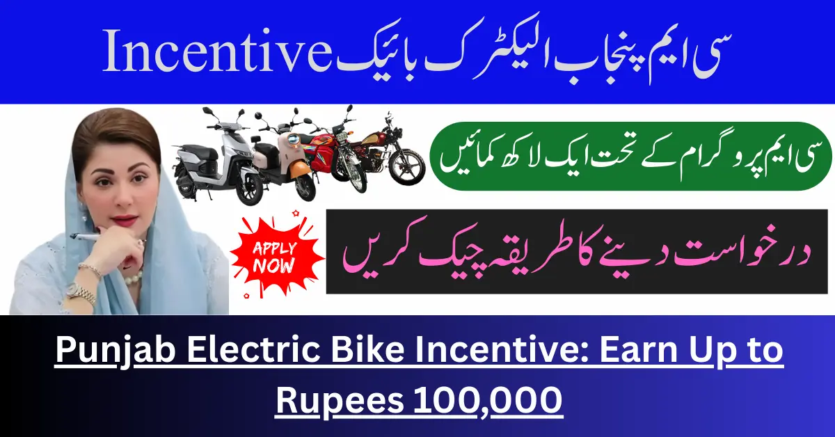 Punjab Electric Bike Incentive: Earn Up to Rupees 100,000