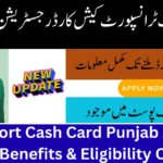 Transport Cash Card Punjab Apply Online: Benefits & Eligibility Criteria