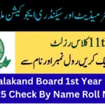 BISE Malakand Board 1st Year Result 2025 Check By Name Roll No BISE Malakand Board 1st Year Result 2025 Check By Name Roll No