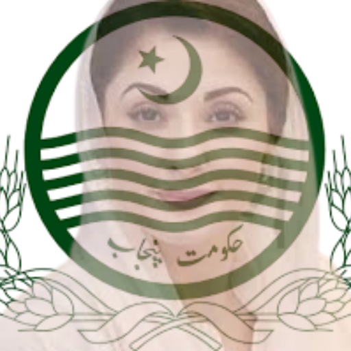 CM Punjab Schemes 2025