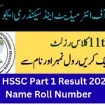 FBISE HSSC Part 1 Result 2025 By Name Roll Number [Link Out]