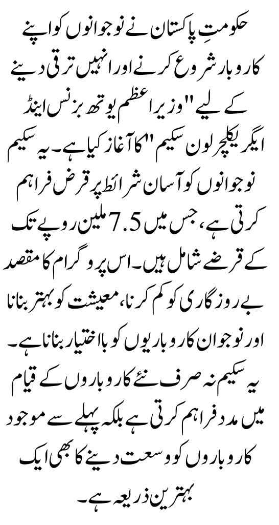 Prime Minister Youth Loan: Online Apply, Eligibility Criteria, Age Limit