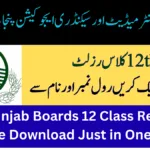 All Punjab Boards 12 Class Result Gazette Download Just in One Click