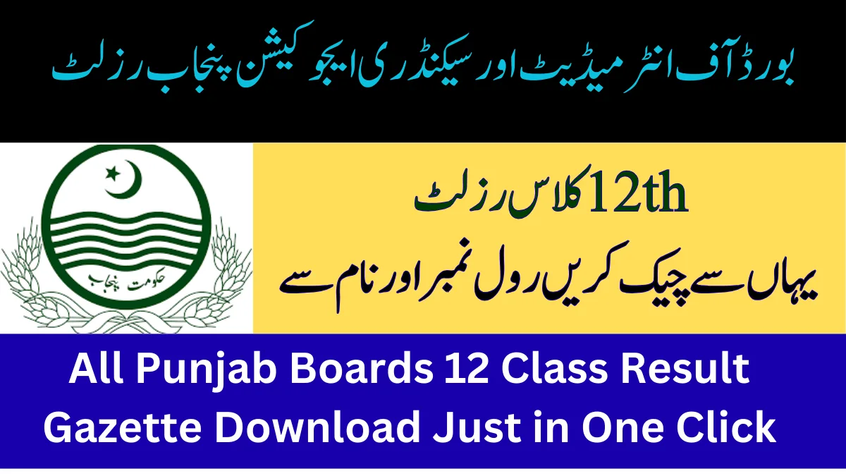 All Punjab Boards 12 Class Result Gazette Download Just in One Click