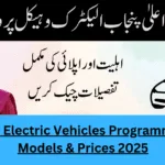 CM Punjab Electric Vehicles Programme – Latest Models & Prices 2025