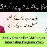 Apply Online for CM Punjab Internship Program 2025