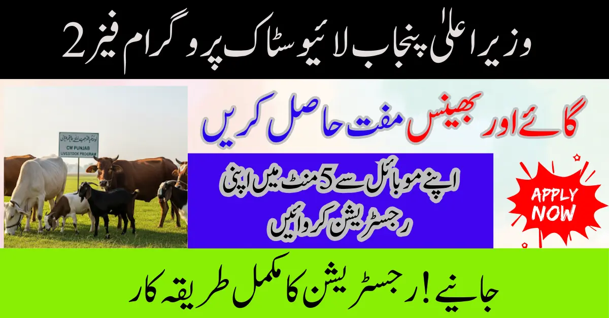 CM Punjab Livestock Program Phase 2 2025: Boost Your Income