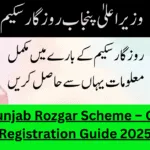 CM Punjab Rozgar Scheme – Online Registration Guide 2025