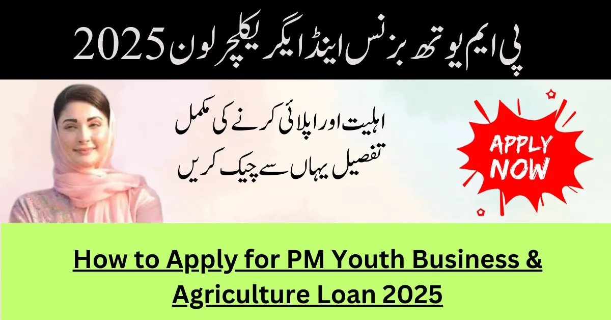 How to Apply for PM Youth Business & Agriculture Loan 2025