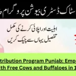 Livestock Distribution Program Punjab: Empowering Rural Women with Free Cows and Buffaloes in 12 Districts