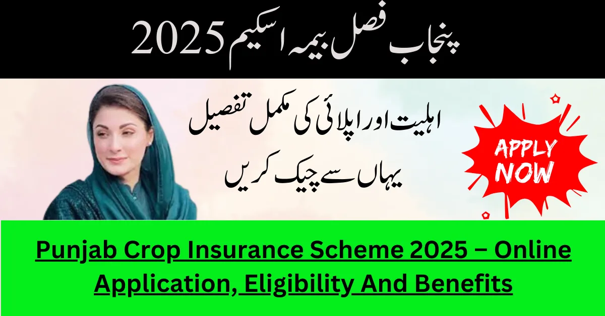 Punjab Crop Insurance Scheme 2025 – Online Application, Eligibility And Benefits