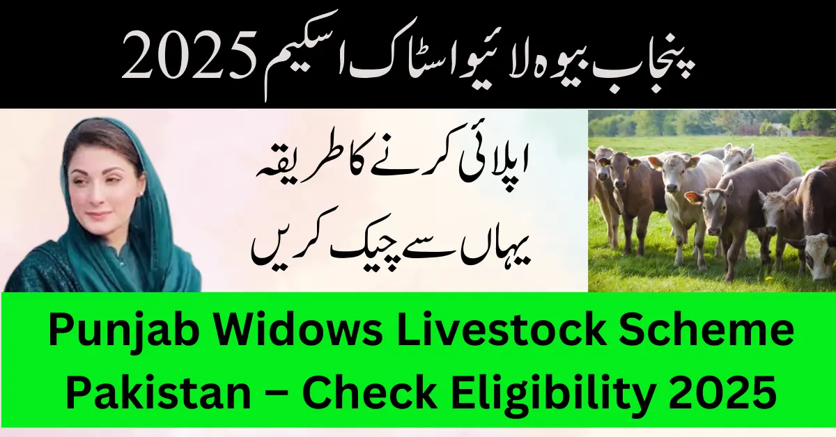 Punjab Widows Livestock Scheme 2025 Pakistan – Check Eligibility