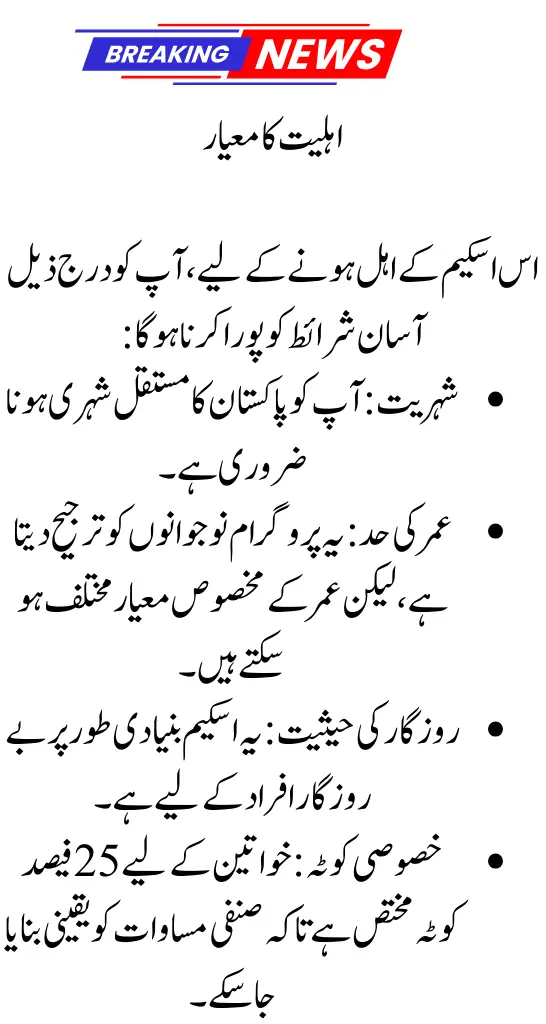 PM Electric Bike Rickshaw Scheme 2025