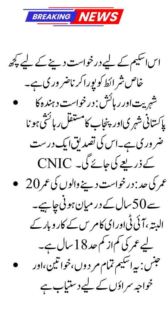 CM Punjab Rozgar Scheme – Online Registration Guide 2025